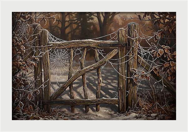 Winter Frost On Cobwebs