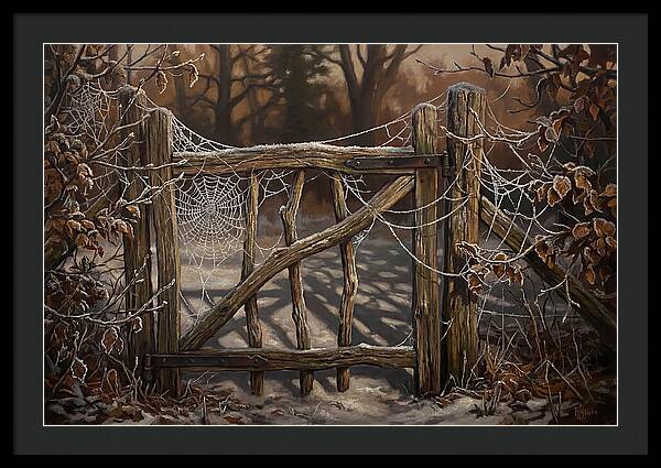 Winter Frost On Cobwebs