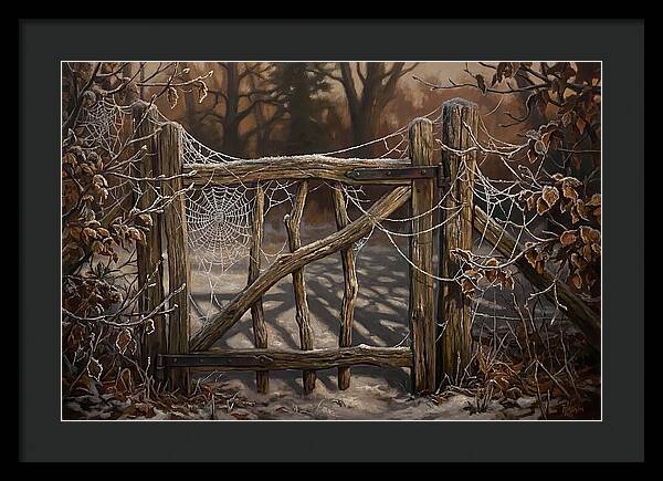 Winter Frost On Cobwebs