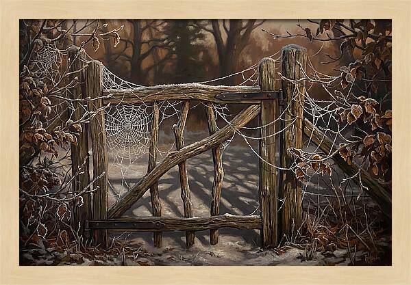 Winter Frost On Cobwebs