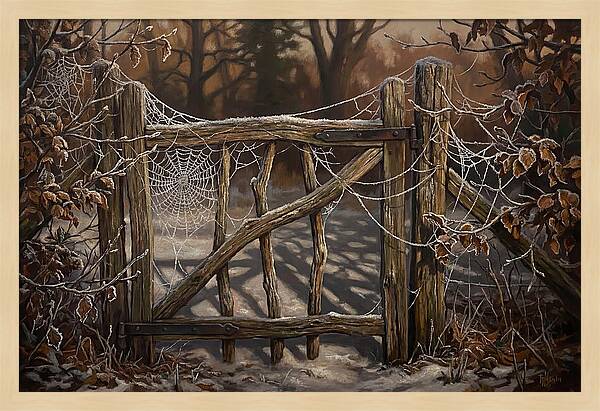 Winter Frost On Cobwebs