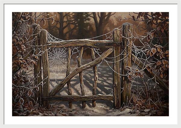Winter Frost On Cobwebs