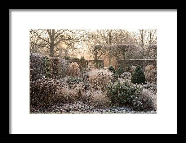Winter Garden Serenity