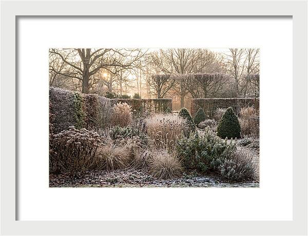 Winter Garden Serenity