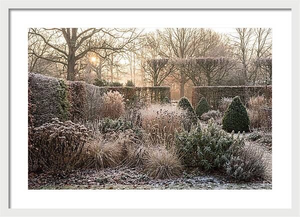 Winter Garden Serenity