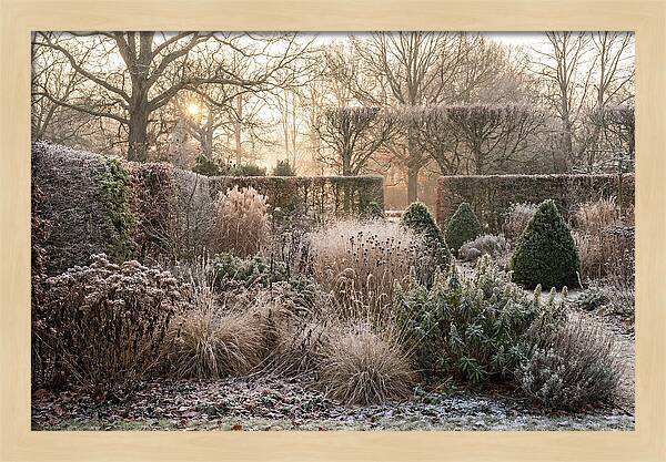 Winter Garden Serenity