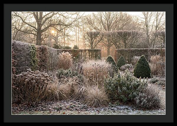 Winter Garden Serenity