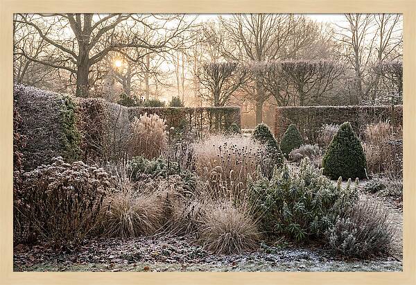 Winter Garden Serenity
