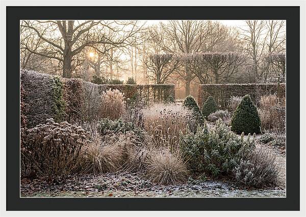 Winter Garden Serenity