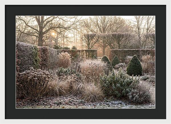 Winter Garden Serenity