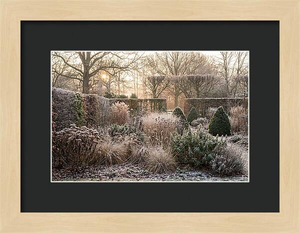 Winter Garden Serenity