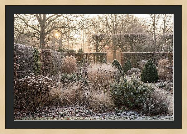 Winter Garden Serenity