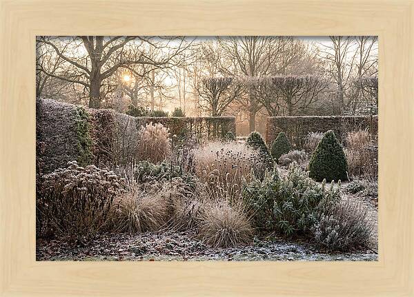 Winter Garden Serenity
