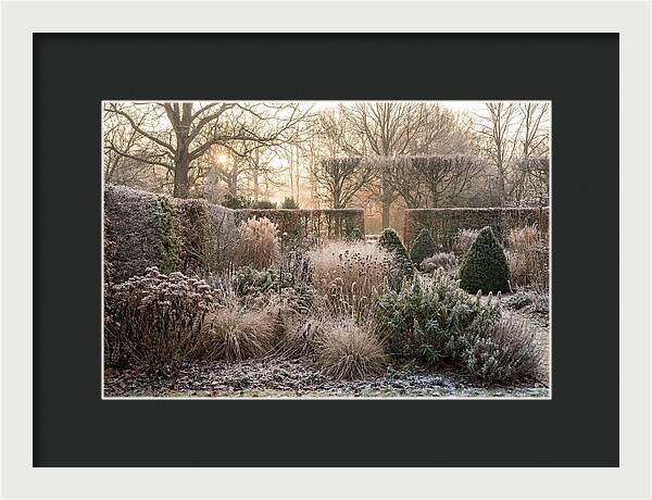 Winter Garden Serenity