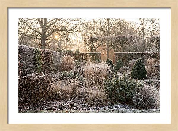 Winter Garden Serenity