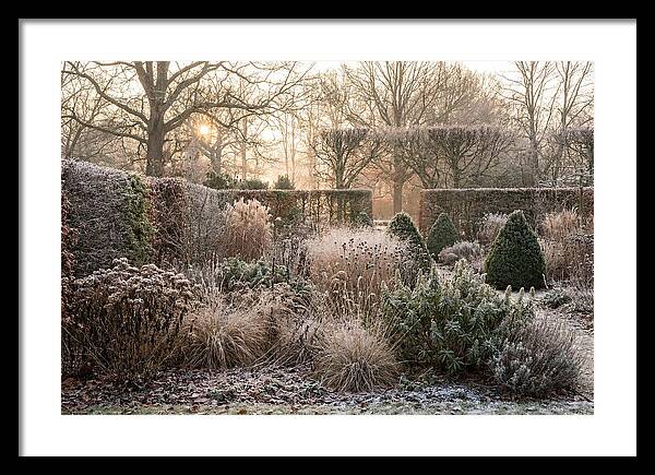 Winter Garden Serenity