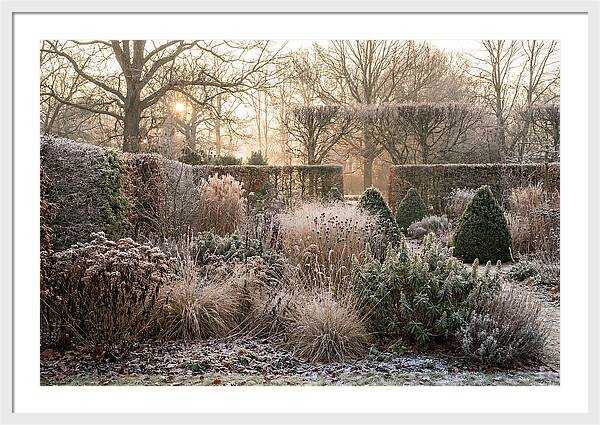 Winter Garden Serenity