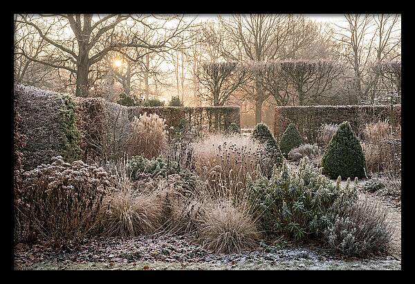 Winter Garden Serenity