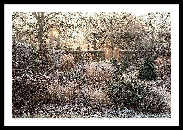 Winter Garden Serenity