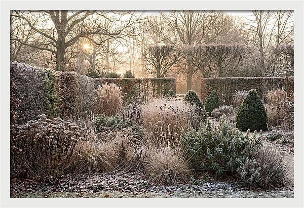 Winter Garden Serenity