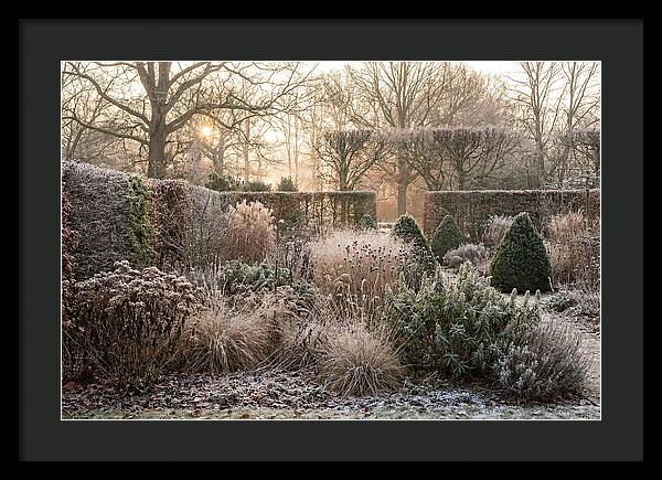 Winter Garden Serenity