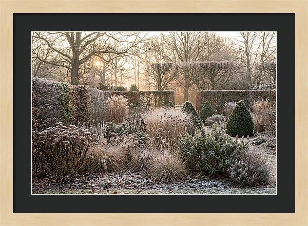 Winter Garden Serenity