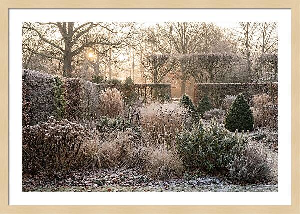 Winter Garden Serenity