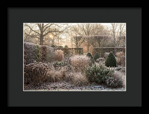 Winter Garden Serenity