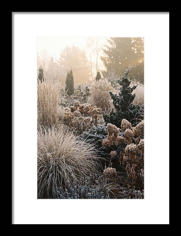 Winter Garden Serenity