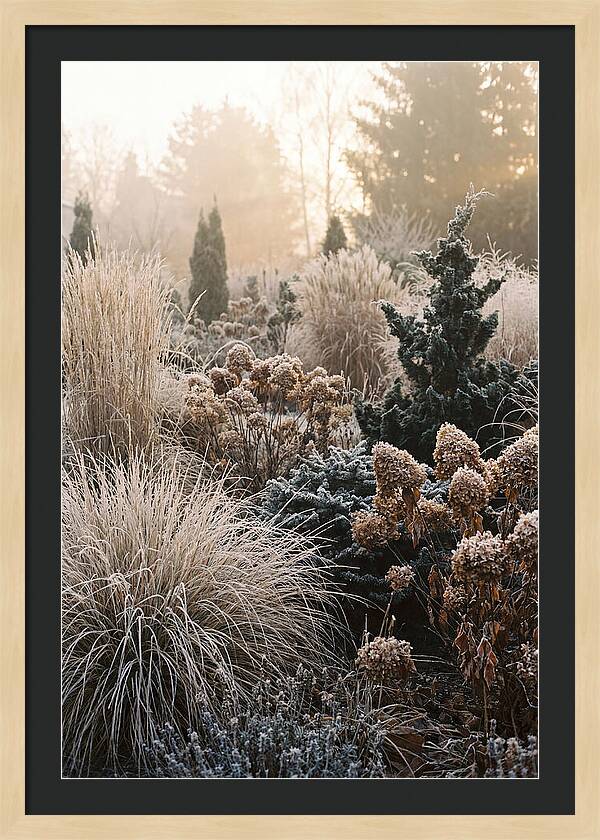 Winter Garden Serenity