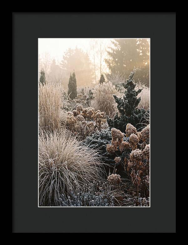 Winter Garden Serenity