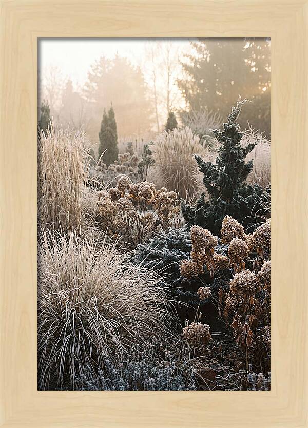 Winter Garden Serenity