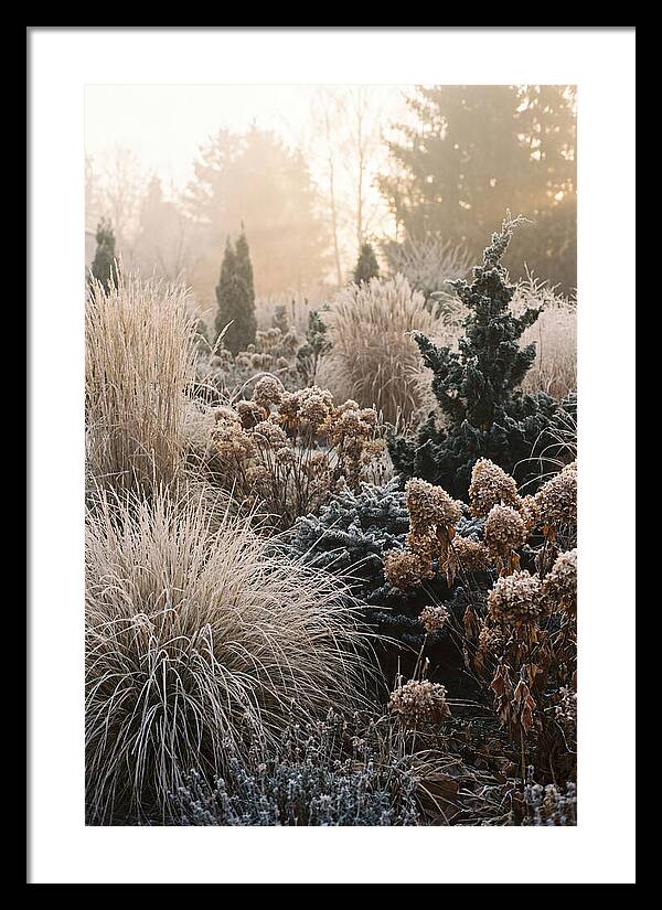 Winter Garden Serenity
