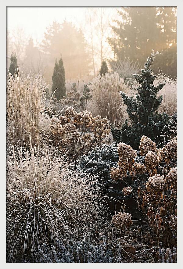 Winter Garden Serenity
