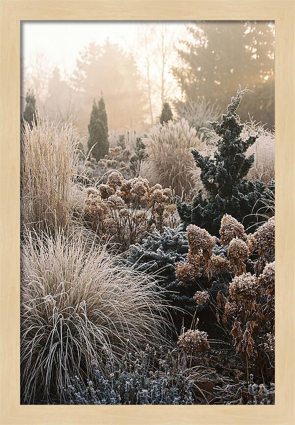 Winter Garden Serenity