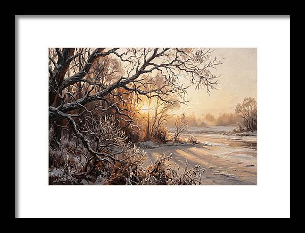 Winter Hoarfrost On Bare Branches