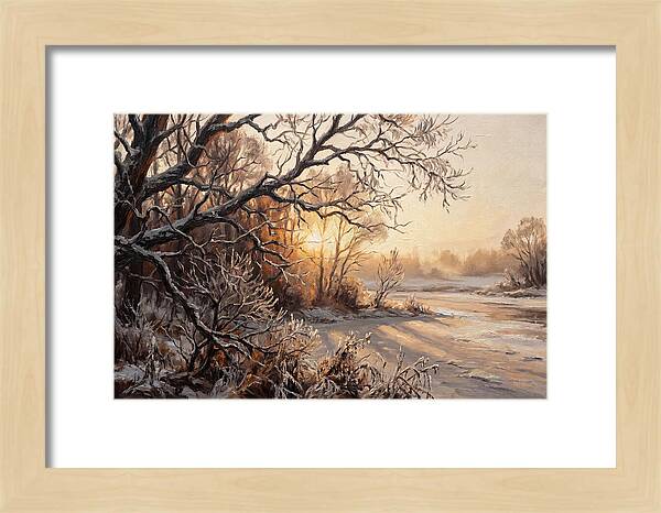 Winter Hoarfrost On Bare Branches