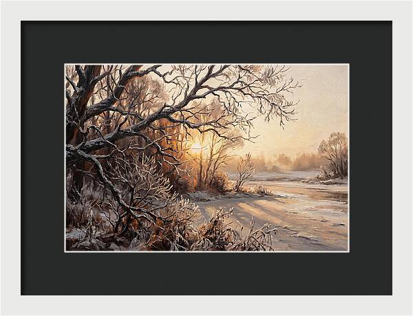 Winter Hoarfrost On Bare Branches