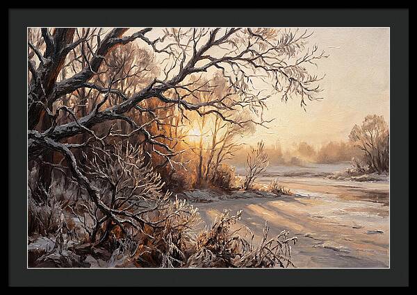 Winter Hoarfrost On Bare Branches