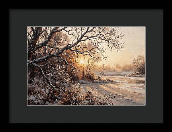 Winter Hoarfrost On Bare Branches