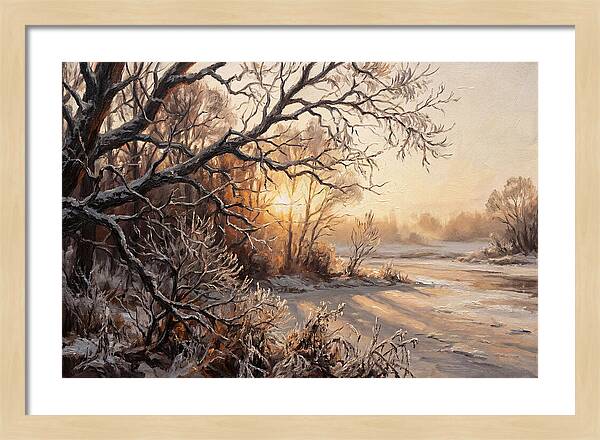 Winter Hoarfrost On Bare Branches