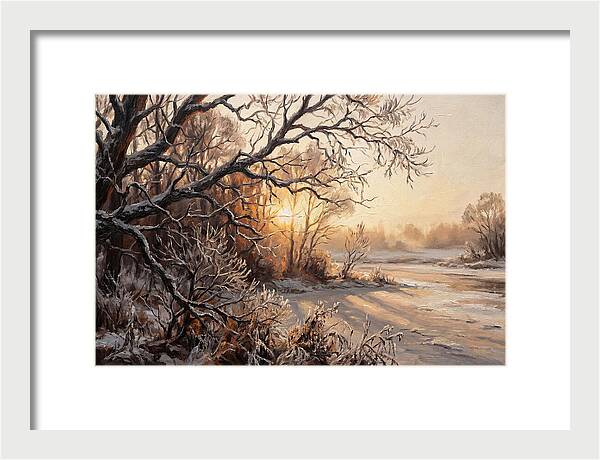 Winter Hoarfrost On Bare Branches