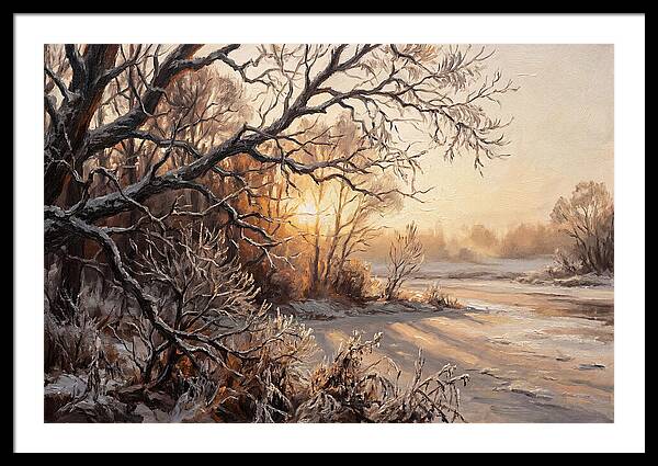 Winter Hoarfrost On Bare Branches