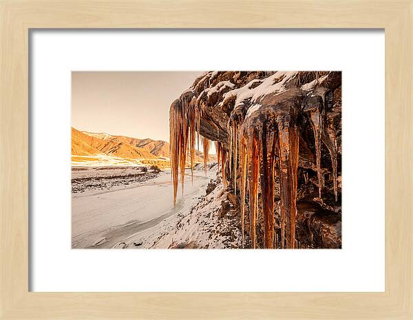 Winter Icicles Hanging From Rock