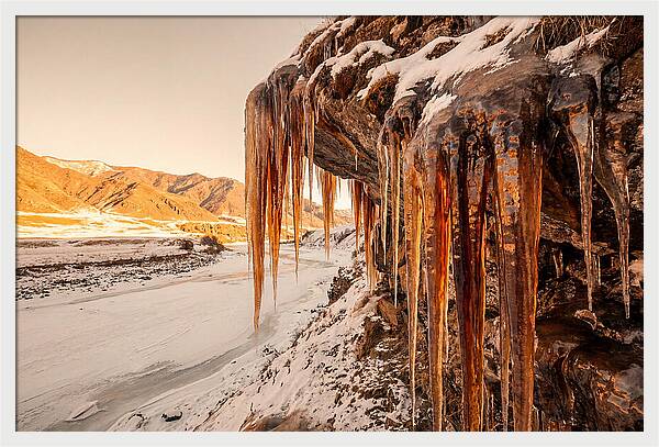 Winter Icicles Hanging From Rock