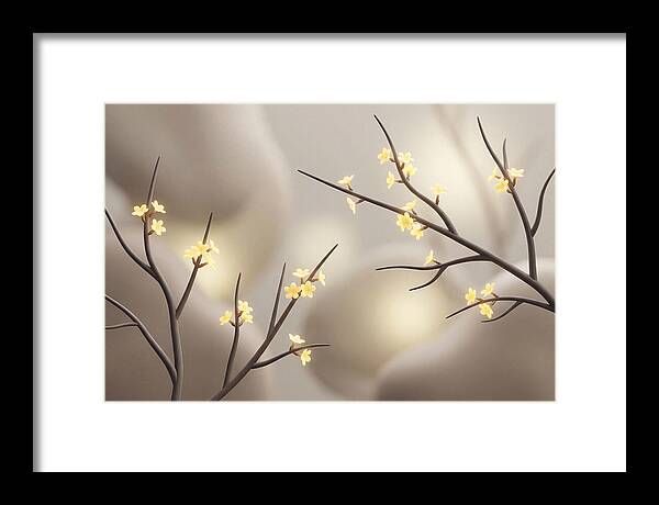 Winter Jasmine Blooms