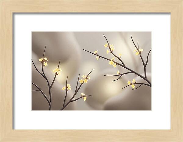 Winter Jasmine Blooms