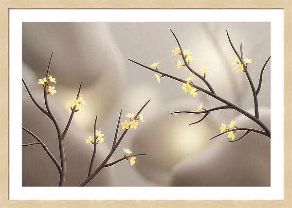 Winter Jasmine Blooms