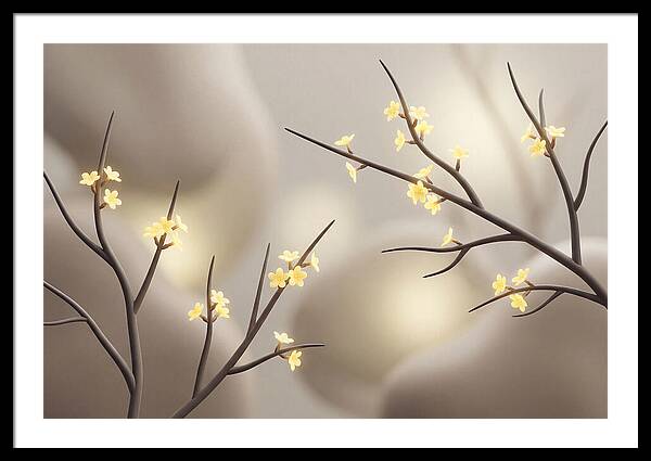 Winter Jasmine Blooms