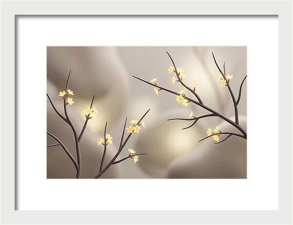 Winter Jasmine Blooms